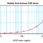 To detect Human FGF-basic by sandwich ELISA (using 100 ul/well antibody solution) a concentration of 0.5 - 2.0 ug/ml of this antibody is required. This antigen affinity purified antibody, in conjunction with ProSci’s Biotinylated Anti-Human FGF-basic (XP-5137Bt) as a detection antibody, allows the detection of at least 0.2 - 0.4 ng/well of recombinant Human FGF-basic.