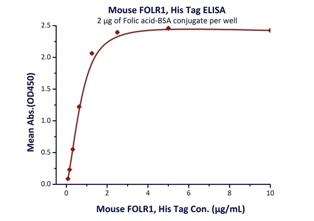 FOLR1 Recombinant Protein