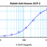 To detect hGCP-2 by sandwich ELISA (using 100 ul/well antibody solution) a concentration of 0.5 - 2.0 ug/ml of this antibody is required. This antigen affinity purified antibody, in conjunction with ProSci’s Biotinylated Anti-Human GCP-2 (XP-5140Bt) as a detection antibody, allows the detection of at least 0.2 - 0.4 ng/well of recombinant hGCP-2.