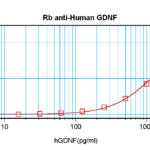 To detect hGDNF by sandwich ELISA (using 100 ul/well antibody solution) a concentration of 0.5 - 2.0 ug/ml of this antibody is required. This antigen affinity purified antibody, in conjunction with ProSci’s Biotinylated Anti-Human GDNF (XP-5143Bt) as a detection antibody, allows the detection of at least 0.2 - 0.4 ng/well of recombinant hGDNF.