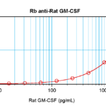 To detect Rat GM-CSF by sandwich ELISA (using 100ul/well antibody solution) a concentration of 0.5 - 2.0 ug/ml of this antibody is required. This antigen affinity purified antibody, in conjunction with ProSci’s Biotinylated Anti-Rat GM-CSF (38-284) as a detection antibody, allows the detection of at least 0.2 - 0.4 ng/well of recombinant Rat GM-CSF.