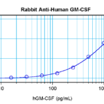 To detect hGM-CSF by sandwich ELISA (using 100 ul/well antibody solution) a concentration of 0.5 - 2.0 ug/ml of this antibody is required. This antigen affinity purified antibody, in conjunction with ProSci’s Biotinylated Anti-Human GM-CSF (XP-5144Bt) as a detection antibody, allows the detection of at least 0.2 - 0.4 ng/well of recombinant hGM-CSF.