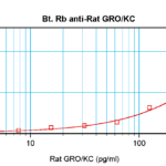 To detect Rat GRO/KC by sandwich ELISA (using 100 ul/well antibody solution) a concentration of 0.25 – 1.0 ug/ml of this antibody is required. This biotinylated polyclonal antibody, in conjunction with ProSci’s Polyclonal Anti-Rat GRO/KC (XP-5146) as a capture antibody, allows the detection of at least 0.2 – 0.4 ng/well of recombinant Rat GRO/KC.