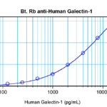 To detect hGalectin-1 by sandwich ELISA (using 100 ul/well antibody solution) a concentration of 0.25 – 1.0 ug/ml of this antibody is required. This biotinylated polyclonal antibody, in conjunction with ProSci’s Polyclonal Anti-Human Galectin-1 (38-140) as a capture antibody, allows the detection of at least 0.2 – 0.4 ng/well of recombinant hGalectin-1.