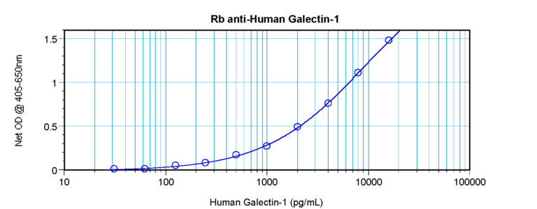 Galectin-1 Antibody