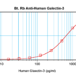 To detect hGalectin-3 by sandwich ELISA (using 100 ul/well antibody solution) a concentration of 0.25 – 1.0 ug/ml of this antibody is required. This biotinylated polyclonal antibody, in conjunction with ProSci’s Polyclonal Anti-Human Galectin-3 (38-170) as a capture antibody, allows the detection of at least 0.2 – 0.4 ng/well of recombinant hGalectin-3.
