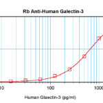 To detect hGalectin-3 by sandwich ELISA (using 100 ul/well antibody solution) a concentration of 0.5 - 2.0 ug/ml of this antibody is required. This antigen affinity purified antibody, in conjunction with ProSci’s Biotinylated Anti-Human Galectin-3 (38-171) as a detection antibody, allows the detection of at least 0.2 - 0.4 ng/well of recombinant hGalectin-3.