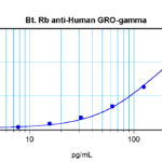To detect Human GRO-gamma by sandwich ELISA (using 100 ul/well antibody solution) a concentration of 0.25 – 1.0 ug/ml of this antibody is required. This biotinylated polyclonal antibody, in conjunction with ProSci’s Polyclonal Anti-Human GRO-gamma (XP-5150) as a capture antibody, allows the detection of at least 0.2 – 0.4 ng/well of recombinant Human GRO-gamma.