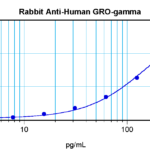 To detect Human GRO-gamma by sandwich ELISA (using 100 ul/well antibody solution) a concentration of 0.5 - 2.0 ug/ml of this antibody is required. This antigen affinity purified antibody, in conjunction with ProSci’s Biotinylated Anti-Human GRO-gamma (XP-5150Bt) as a detection antibody, allows the detection of at least 0.2 - 0.4 ng/well of recombinant Human GRO-gamma.