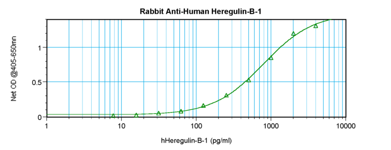 Heregulin-beta1 Antibody