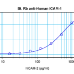 To detect Human ICAM-1 by sandwich ELISA (using 100 ul/well antibody solution) a concentration of 0.25 – 1.0 ug/ml of this antibody is required. This biotinylated polyclonal antibody, in conjunction with ProSci’s Polyclonal Anti-Human ICAM-1 (38-217) as a capture antibody, allows the detection of at least 0.2 – 0.4 ng/well of recombinant Human ICAM-1.