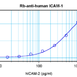 To detect Human ICAM-1 by sandwich ELISA (using 100ul/well antibody solution) a concentration of 0.5 - 2.0 ug/ml of this antibody is required. This antigen affinity purified antibody, in conjunction with ProSci’s Biotinylated Anti-Human ICAM-1 (38-218) as a detection antibody, allows the detection of at least 0.2 - 0.4 ng/well of recombinant Human ICAM-1.