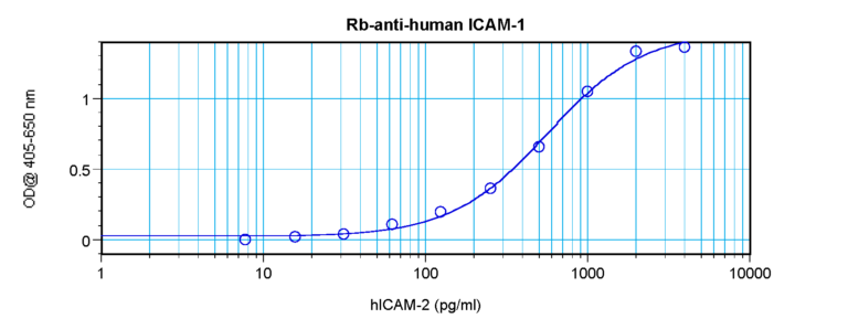 ICAM-1 Antibody