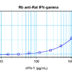 To detect Rat IFN-gamma by sandwich ELISA (using 100 ul/well antibody solution) a concentration of 0.5 - 2.0 ug/ml of this antibody is required. This antigen affinity purified antibody, in conjunction with ProSci’s Biotinylated Anti-Rat IFN-gamma (38-257) as a detection antibody, allows the detection of at least 0.2 - 0.4 ng/well of recombinant Rat IFN-gamma.