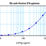 To detect Murine IFN-gamma by sandwich ELISA (using 100 ul/well antibody solution) a concentration of 0.5 - 2.0 ug/ml of this antibody is required. This antigen affinity purified antibody, in conjunction with ProSci’s Biotinylated Anti-Murine IFN-gamma (XP-5156Bt) as a detection antibody, allows the detection of at least 0.2 - 0.4 ng/well of recombinant Murine IFN-gamma.