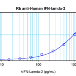 To detect Human IFN-λ2 by sandwich ELISA (using 100 ul/well antibody solution) a concentration of 0.5 - 2.0 ug/ml of this antibody is required. This antigen affinity purified antibody, in conjunction with ProSci’s Biotinylated Anti-Human IFN-λ2 (38-172) as a detection antibody, allows the detection of at least 0.2 - 0.4 ng/well of recombinant Human IFN-λ2.