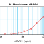 To detect hIGF-BP1 by sandwich ELISA (using 100 ul/well antibody solution) a concentration of 0.25 – 1.0 ug/ml of this antibody is required. This biotinylated polyclonal antibody, in conjunction with ProSci’s Polyclonal Anti-Human IGF-BP1 (38-265) as a capture antibody, allows the detection of at least 0.2 – 0.4 ng/well of recombinant hIGF-BP1.