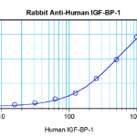 To detect hIGF-BP1 by sandwich ELISA (using 100ul/well antibody solution) a concentration of 0.5 - 2.0 ug/ml of this antibody is required. This antigen affinity purified antibody, in conjunction with ProSci’s Biotinylated Anti-Human IGF-BP1 (38-276) as a detection antibody, allows the detection of at least 0.2 - 0.4 ng/well of recombinant hIGF-BP1.