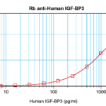 To detect hIGF-BP3 by sandwich ELISA (using 100 ul/well antibody solution) a concentration of 0.5 - 2.0 ug/ml of this antibody is required. This antigen affinity purified antibody, in conjunction with ProSci’s Biotinylated Anti-Human IGF-BP3 (38-153) as a detection antibody, allows the detection of at least 0.2 - 0.4 ng/well of recombinant hIGF-BP3.