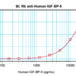 To detect hIGF-BP5 by sandwich ELISA (using 100 ul/well antibody solution) a concentration of 0.25 – 1.0 ug/ml of this antibody is required. This biotinylated polyclonal antibody, in conjunction with ProSci’s Polyclonal Anti-Human IGF-BP5 (38-289) as a capture antibody, allows the detection of at least 0.2 – 0.4 ng/well of recombinant hIGF-BP5.