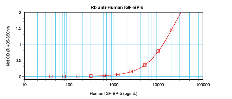 IGF-BP5 Antibody