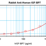 To detect hIGF-BP7 by sandwich ELISA (using 100 ul/well antibody solution) a concentration of 0.5 - 2.0 ug/ml of this antibody is required. This antigen affinity purified antibody, in conjunction with ProSci’s Biotinylated Anti-Human IGF-BP7 (38-155) as a detection antibody, allows the detection of at least 0.2 - 0.4 ng/well of recombinant hIGF-BP7.
