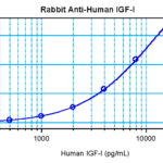 To detect hIGF-I by sandwich ELISA (using 100 ul/well antibody solution) a concentration of 0.5 - 2.0 ug/ml of this antibody is required. This antigen affinity purified antibody, in conjunction with ProSci’s Biotinylated Anti-Human IGF-I (XP-5158Bt) as a detection antibody, allows the detection of at least 0.2 - 0.4 ng/well of recombinant hIGF-I.
