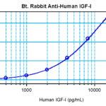 To detect hIGF-I by sandwich ELISA (using 100 ul/well antibody solution) a concentration of 0.25 – 1.0 ug/ml of this antibody is required. This biotinylated polyclonal antibody, in conjunction with ProSci’s Polyclonal Anti-Human IGF-I (XP-5158) as a capture antibody, allows the detection of at least 0.2 – 0.4 ng/well of recombinant hIGF-I.