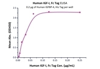 IGFBP-4 Recombinant Protein