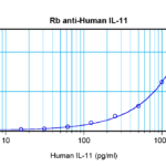 To detect hIL-11 by sandwich ELISA (using 100 ul/well antibody solution) a concentration of 0.5 - 2.0 ug/ml of this antibody is required. This antigen affinity purified antibody, in conjunction with ProSci’s Biotinylated Anti-Human IL-11 (XP-5164Bt) as a detection antibody, allows the detection of at least 0.2 - 0.4 ng/well of recombinant hIL-11.