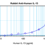 To detect hIL-13 by sandwich ELISA (using 100 ul/well antibody solution) a concentration of 0.5 - 2.0 ug/ml of this antibody is required. This antigen affinity purified antibody, in conjunction with ProSci’s Biotinylated Anti-Human IL-13 (XP-5167Bt) as a detection antibody, allows the detection of at least 0.2 - 0.4 ng/well of recombinant hIL-13.