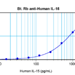 To detect hIL-15 by sandwich ELISA (using 100 ul/well antibody solution) a concentration of 0.25 – 1.0 ug/ml of this antibody is required. This biotinylated polyclonal antibody, in conjunction with ProSci’s Polyclonal Anti-Human IL-15 (XP-5169) as a capture antibody, allows the detection of at least 0.2 – 0.4 ng/well of recombinant hIL-15.