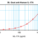 To detect hIL-17A by sandwich ELISA (using 100 ul/well antibody solution) a concentration of 0.25 – 1.0 ug/ml of this antibody is required. This biotinylated polyclonal antibody, in conjunction with ProSci’s Polyclonal Anti-Human IL-17A (XP-5172) as a capture antibody, allows the detection of at least 0.2 – 0.4 ng/well of recombinant hIL-17A.