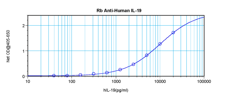 IL-19 Antibody