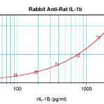 To detect Rat IL-1-beta by sandwich ELISA (using 100 ul/well antibody solution) a concentration of 0.5 - 2.0 ug/ml of this antibody is required. This antigen affinity purified antibody, in conjunction with ProSci’s Biotinylated Anti-Rat IL-1-beta (XP-5180Bt) as a detection antibody, allows the detection of at least 0.2 - 0.4 ng/well of recombinant Rat IL-1-beta.