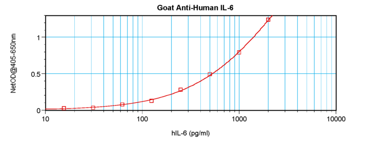 IL-6 Antibody
