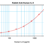 To detect Human IL-9 by sandwich ELISA (using 100 ul/well antibody solution) a concentration of 0.5 - 2.0 ug/ml of this antibody is required. This antigen affinity purified antibody, in conjunction with ProSci’s Biotinylated Anti-Human IL-9 (XP-5200Bt) as a detection antibody, allows the detection of at least 0.2 - 0.4 ng/well of recombinant Human IL-9.