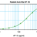 To detect Rat IP-10 by sandwich ELISA (using 100ul/well antibody solution) a concentration of 0.5 - 2.0 ug/ml of this antibody is required. This antigen affinity purified antibody, in conjunction with ProSci’s Biotinylated Anti-Rat IP-10 (38-255) as a detection antibody, allows the detection of at least 0.2 - 0.4 ng/well of recombinant Rat IP-10.