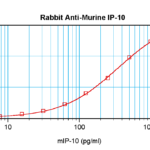 To detect mIP-10 by sandwich ELISA (using 100 ul/well antibody solution) a concentration of 0.5 - 2.0 ug/ml of this antibody is required. This antigen affinity purified antibody, in conjunction with ProSci’s Biotinylated Anti-Murine IP-10 (XP-5204Bt) as a detection antibody, allows the detection of at least 0.2 - 0.4 ng/well of recombinant mIP-10.