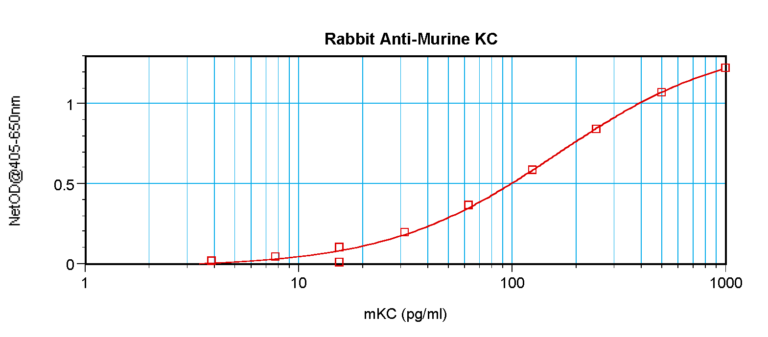 KC Antibody