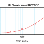 To detect hKGF by sandwich ELISA (using 100 ul/well antibody solution) a concentration of 0.25 – 1.0 ug/ml of this antibody is required. This biotinylated polyclonal antibody, in conjunction with ProSci’s Polyclonal Anti-Human KGF (XP-5208) as a capture antibody, allows the detection of at least 0.2 – 0.4 ng/well of recombinant hKGF.