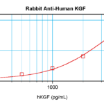 To detect hKGF by sandwich ELISA (using 100 ul/well antibody solution) a concentration of 0.5 - 2.0 ug/ml of this antibody is required. This antigen affinity purified antibody, in conjunction with ProSci’s Biotinylated Anti-Human KGF (XP-5208Bt) as a detection antibody, allows the detection of at least 0.2 - 0.4 ng/well of recombinant hKGF.
