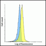 Flow cytometry analysis of LAG-3 overexpressing HEK293 cells using LAG-3 single domain antibody at 1 μg/ml.  Blue:  Untransfected HEK293 cells.  Yellow:  LAG-3 overexpressing HEK293 cells.