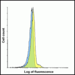 Flow cytometry analysis of LAG-3 overexpressing HEK293 cells using LAG-3 single domain antibody at 1 μg/ml.  Blue:  Untransfected HEK293 cells.  Yellow:  LAG-3 overexpressing HEK293 cells.