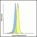 Flow cytometry analysis of LAG-3 overexpressing HEK293 cells using LAG-3 single domain antibody at 1 μg/ml.  Blue:  Untransfected HEK293 cells.  Yellow:  LAG-3 overexpressing HEK293 cells.