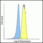 Flow cytometry analysis of LAG-3 over expressing HEK293 cells using LAG-3 antibody at 1 μg/ml. Blue: untransfected HEK293 cells. Yellow: LAG-3 over expressing HEK293 cells.