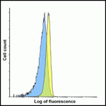 Flow cytometry analysis of LAG-3 over expressing HEK293 cells using LAG-3 antibody at 1 μg/ml. Blue: untransfected HEK293 cells. Yellow: LAG-3 over expressing HEK293 cells.