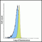 Flow cytometry analysis of LAG-3 over expressing HEK293 cells using LAG-3 antibody at 1 μg/ml. Blue: untransfected HEK293 cells. Yellow: LAG-3 over expressing HEK293 cells.