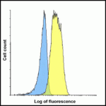Flow cytometry analysis of LAG-3 over expressing HEK293 cells using LAG-3 antibody at 1 μg/ml. Blue: untransfected HEK293 cells. Yellow: LAG-3 over expressing HEK293 cells.