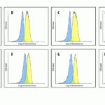 Flow cytometry analysis of LAG-3 over expressing HEK293 cells using (A) RF16082, (B) RF16083, (C) RF16084, (D) RF16086, (E) RF16087, (F) RF16088, (G) RF16089, and (H) control mouse IgG antibody at 1 μg/ml.  Blue:  untransfected HEK293 cells.  Yellow: LAG-3 over expressing HEK293 cells.